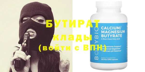 индика Сатка