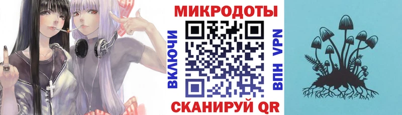 Галлюциногенные грибы Magic Shrooms  Купить закладки  Богданович 